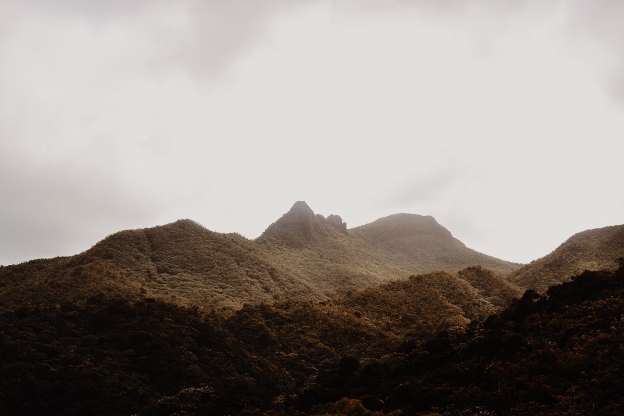 Archillect ID 380658