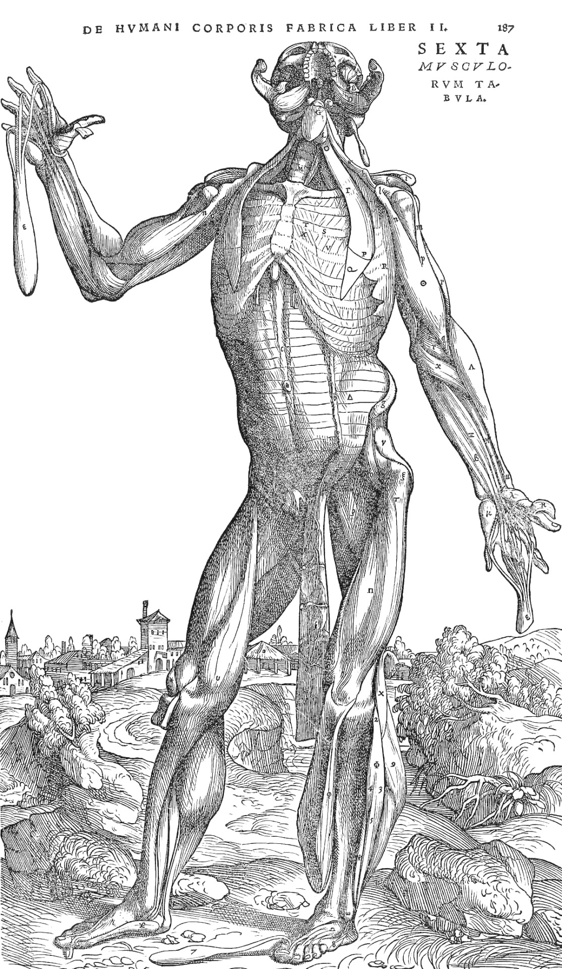 Archillect ID 380667