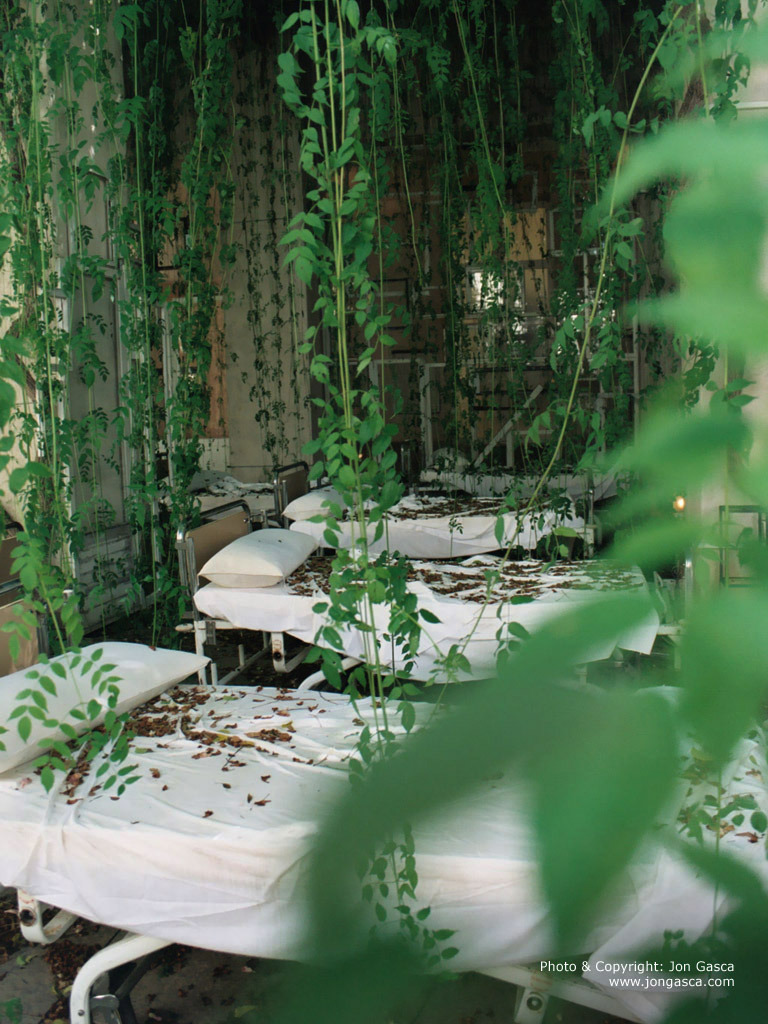 Archillect ID 380694