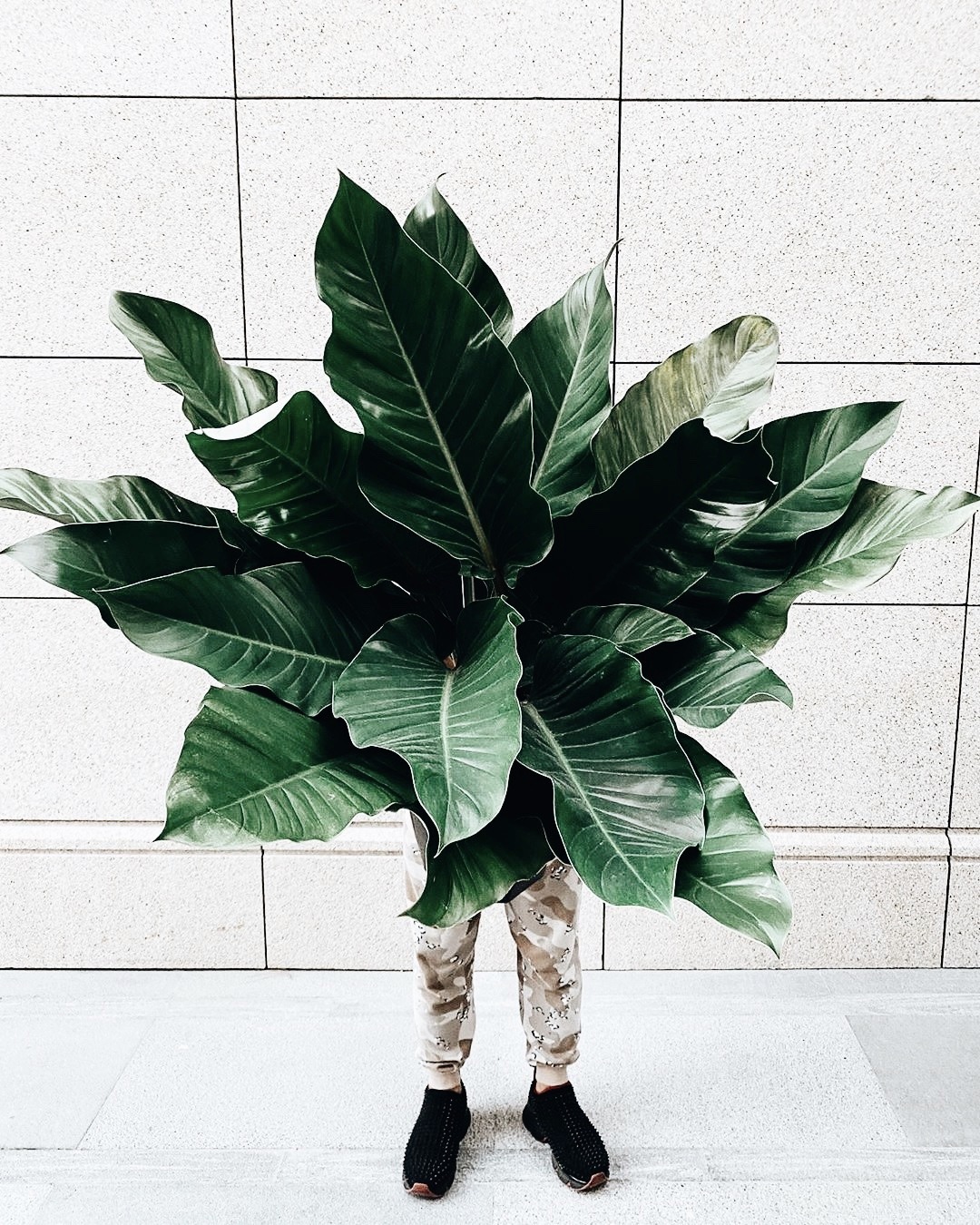 Archillect ID 380716