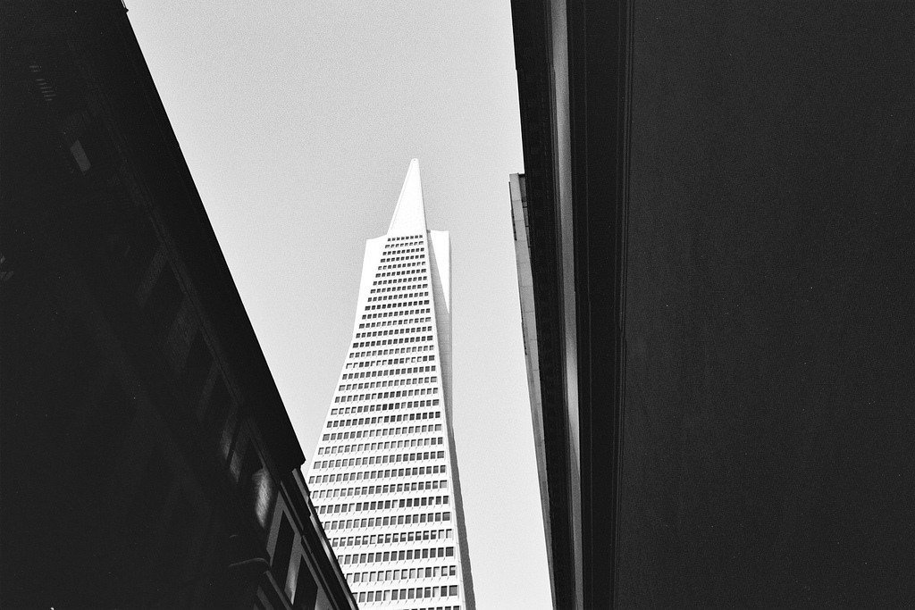 Archillect ID 380739