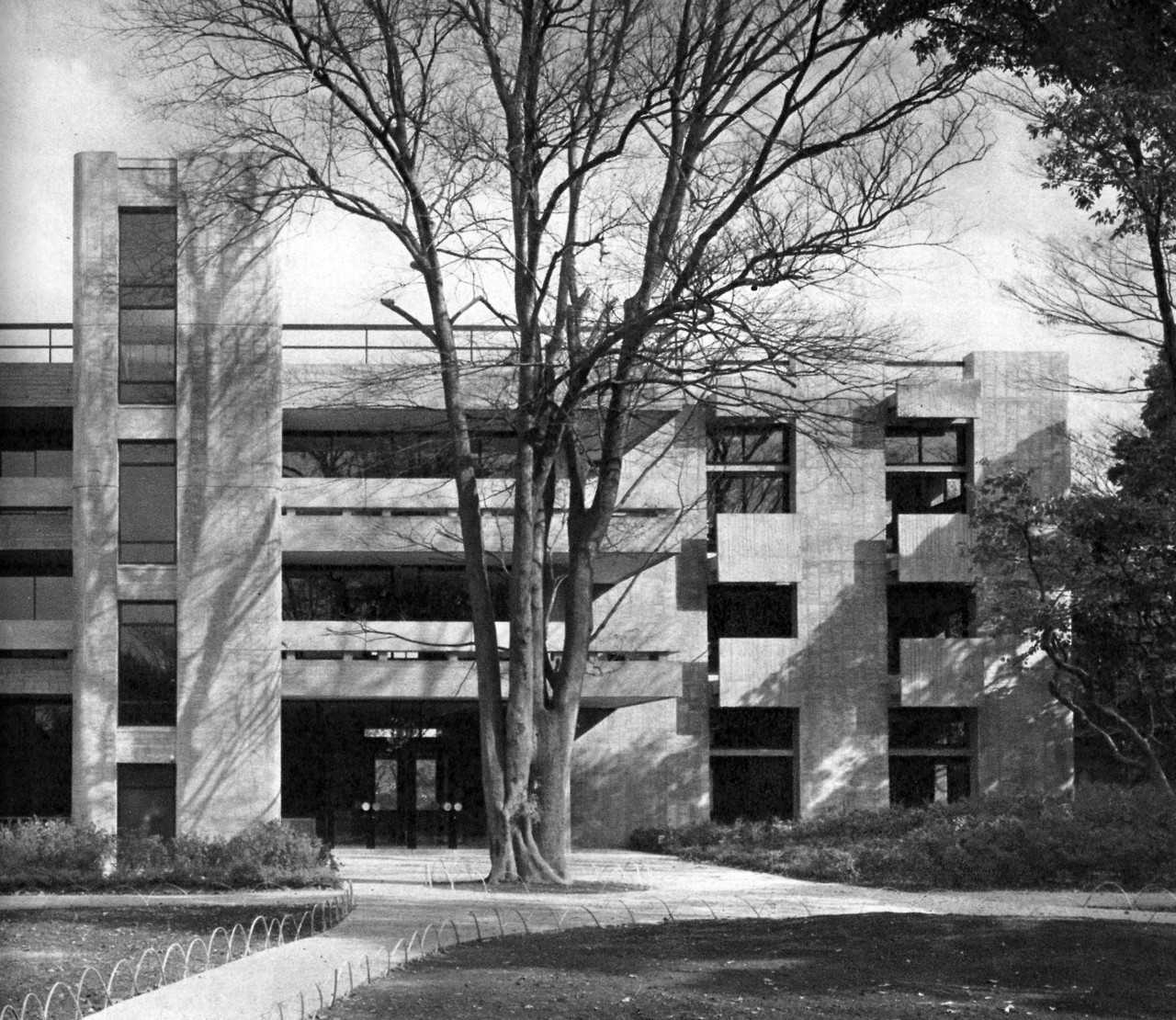 Archillect ID 380758