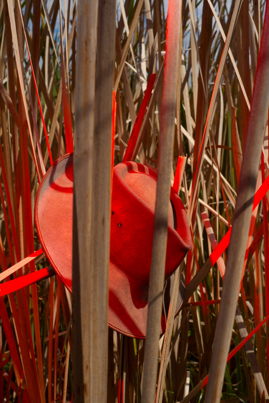 Archillect ID 380783