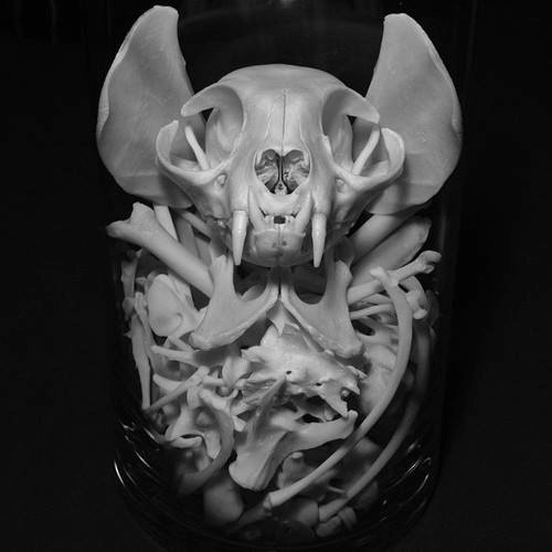 Archillect ID 380855