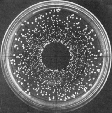 Archillect ID 380970