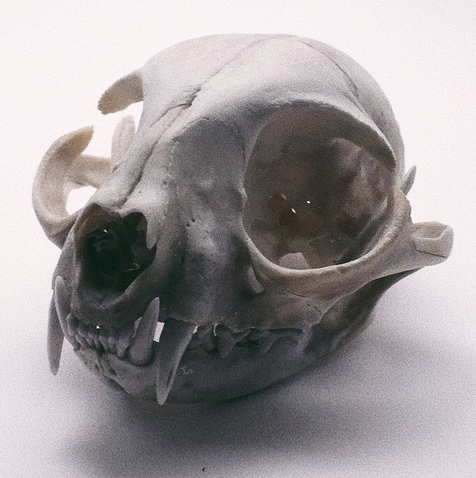 Archillect ID 381006