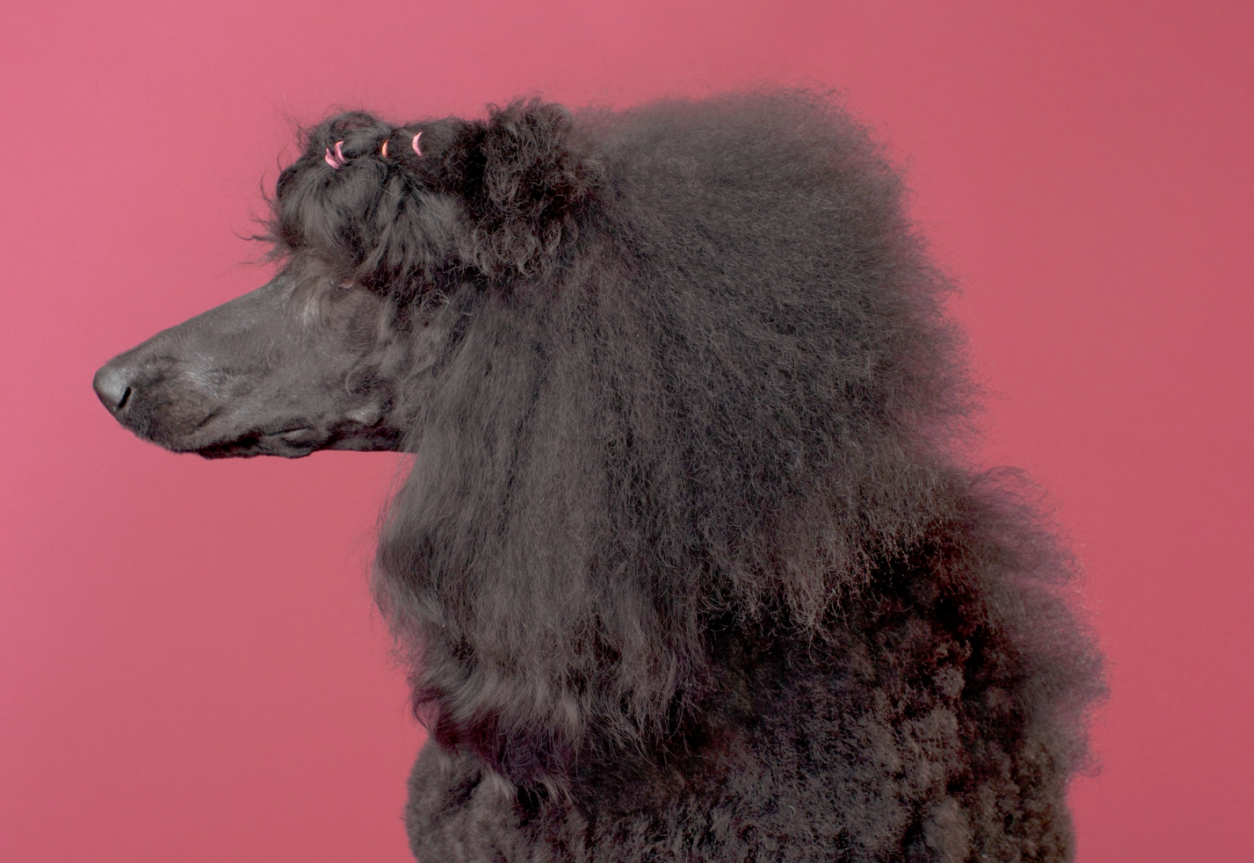 Archillect ID 381008