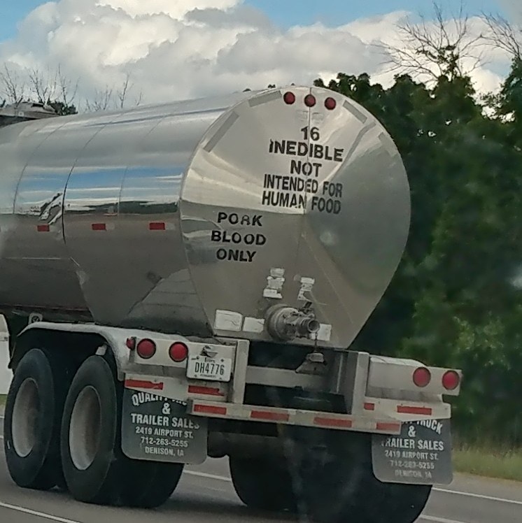 Archillect ID 381057