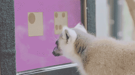 Archillect ID 381058