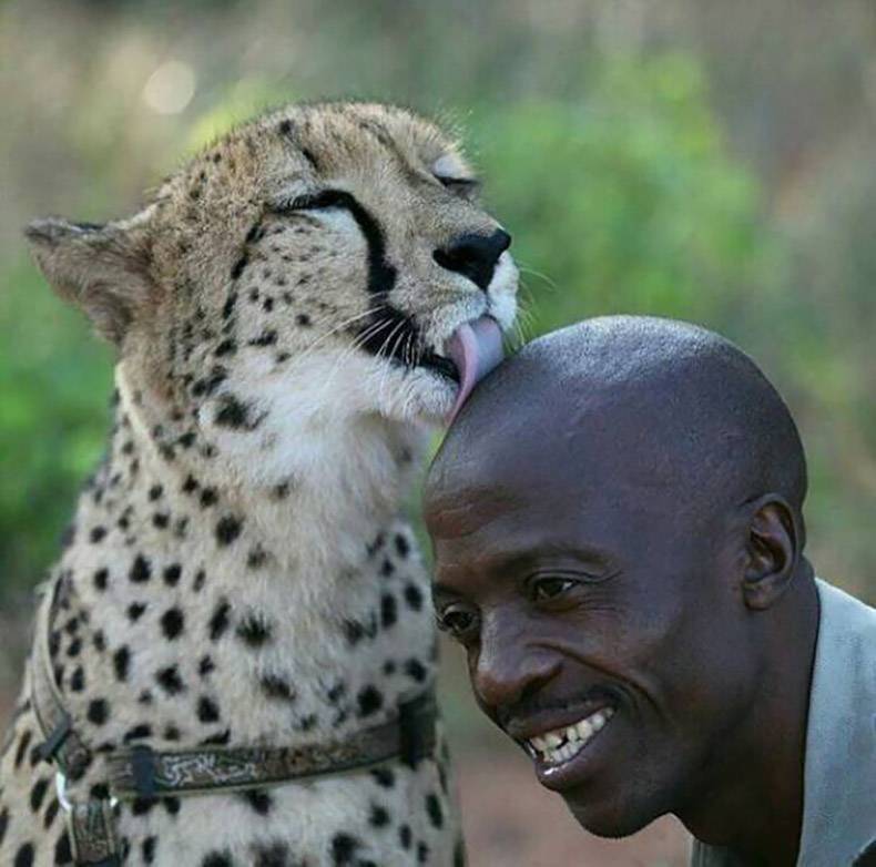 Archillect ID 381059