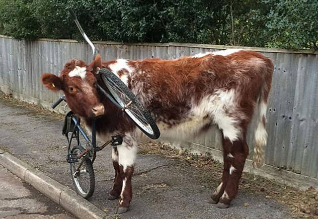 Archillect ID 381079