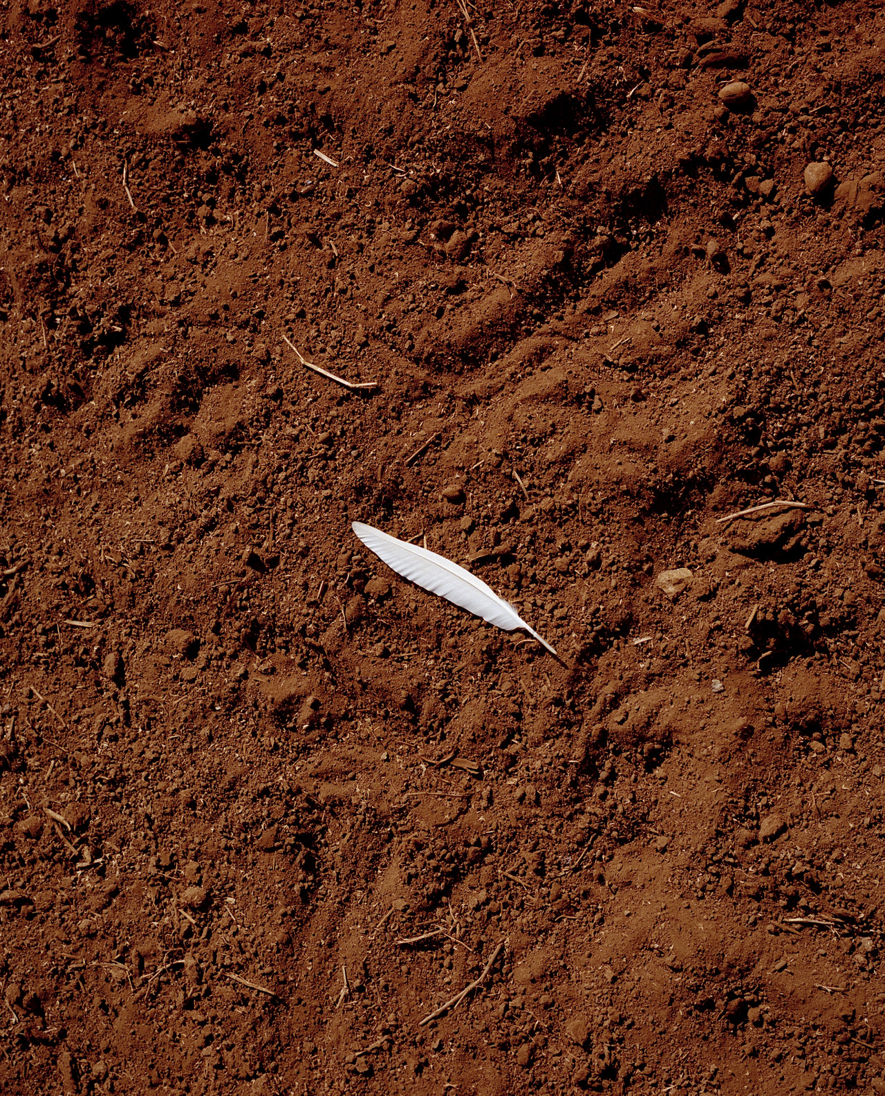 Archillect ID 381128