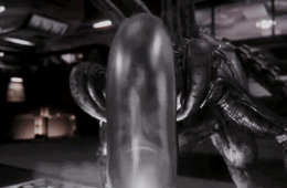 Archillect ID 381132