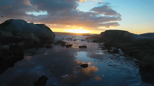 Archillect ID 381161