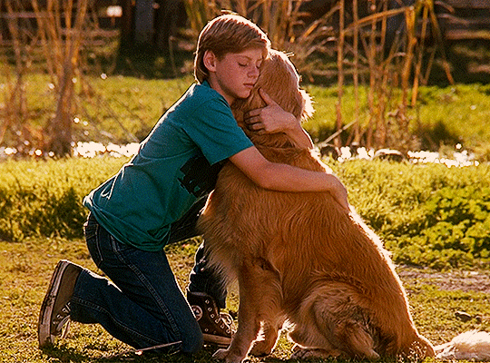 Archillect ID 381246