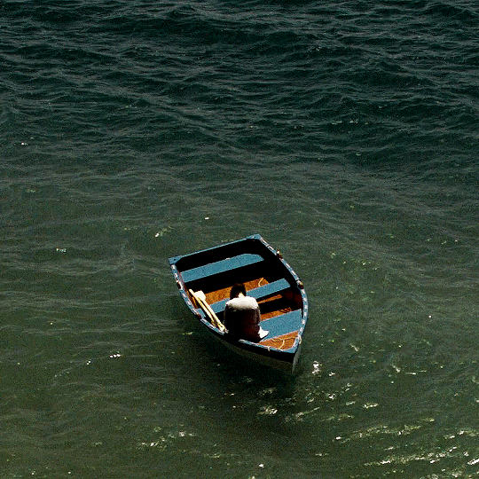 Archillect ID 381249