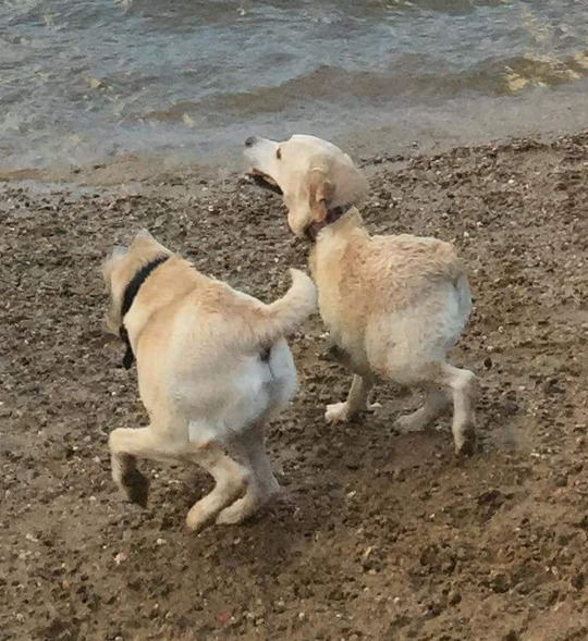 Archillect ID 381294