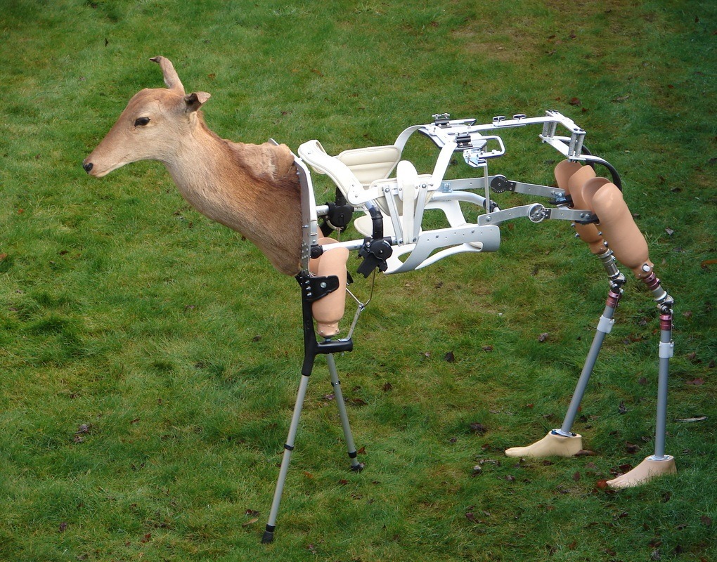 Archillect ID 381298