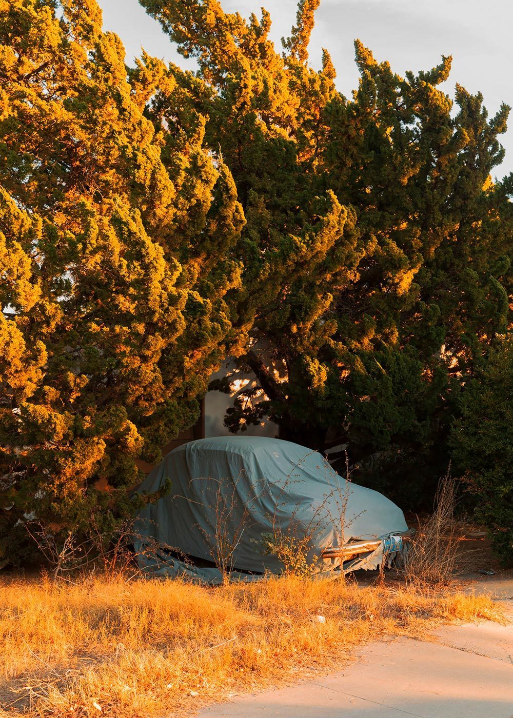 Archillect ID 381315