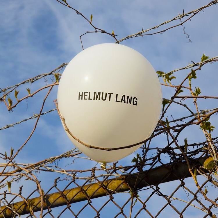 Archillect ID 381342