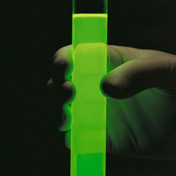 Archillect ID 381348