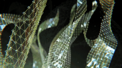 Archillect ID 381366