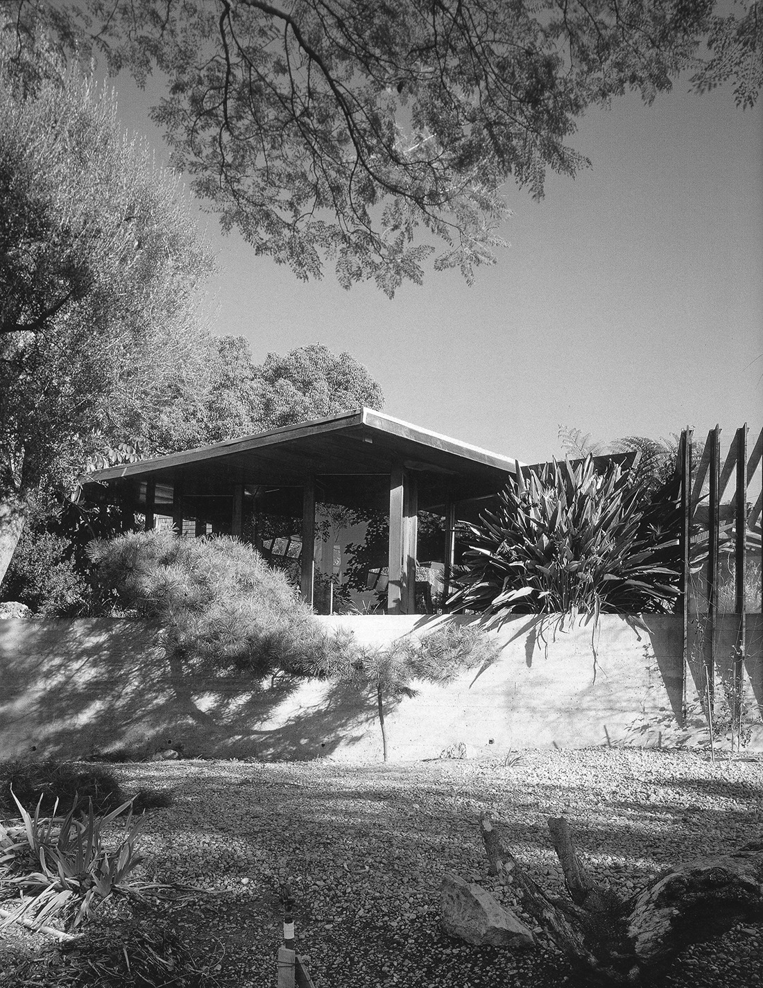 Archillect ID 381398