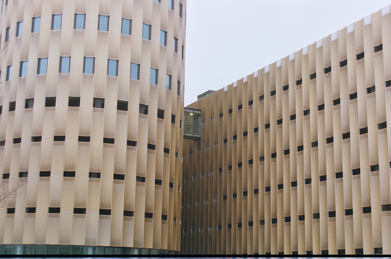 Archillect ID 381595