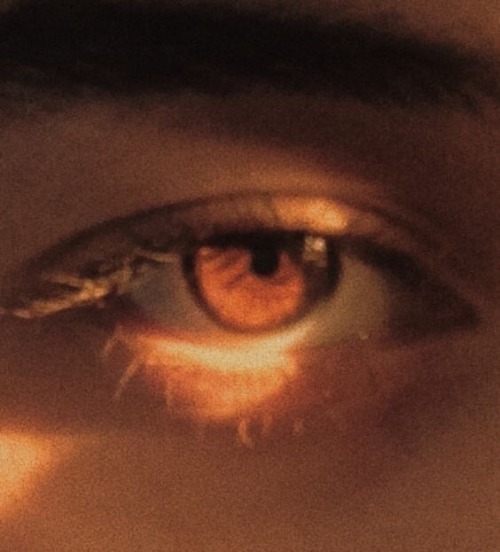 Archillect ID 381618