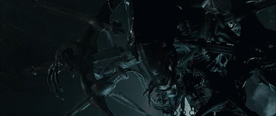 Archillect ID 381668