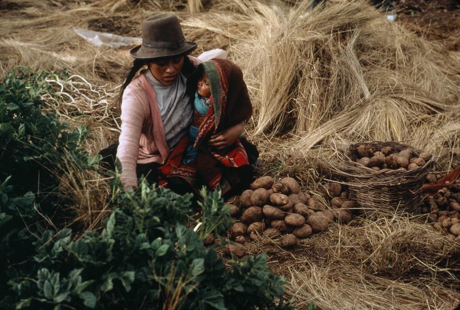 Archillect ID 381682