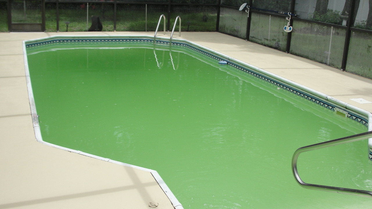 Archillect ID 381686