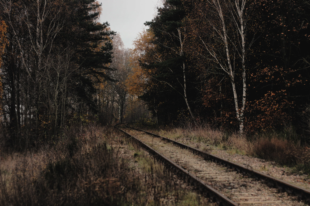 Archillect ID 381690