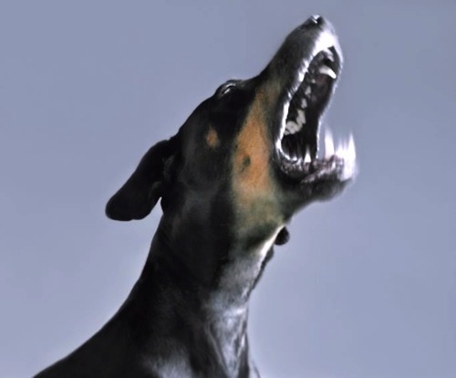 Archillect ID 381691