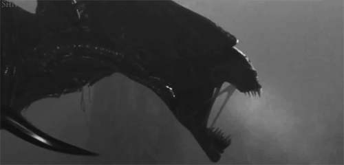 Archillect ID 381717