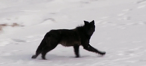 Archillect ID 381720