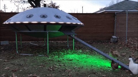 Archillect ID 381810