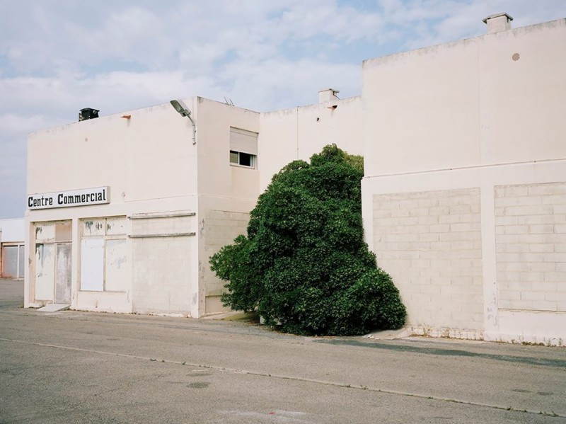 Archillect ID 381819