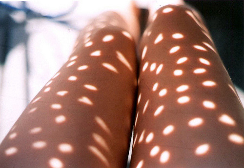 Archillect ID 381823