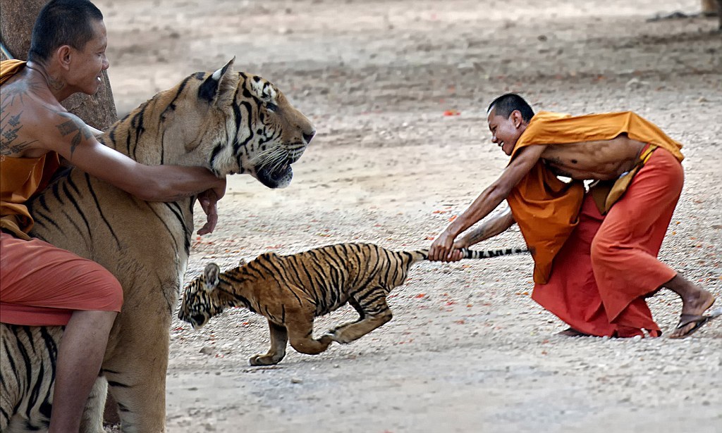 Archillect ID 381827