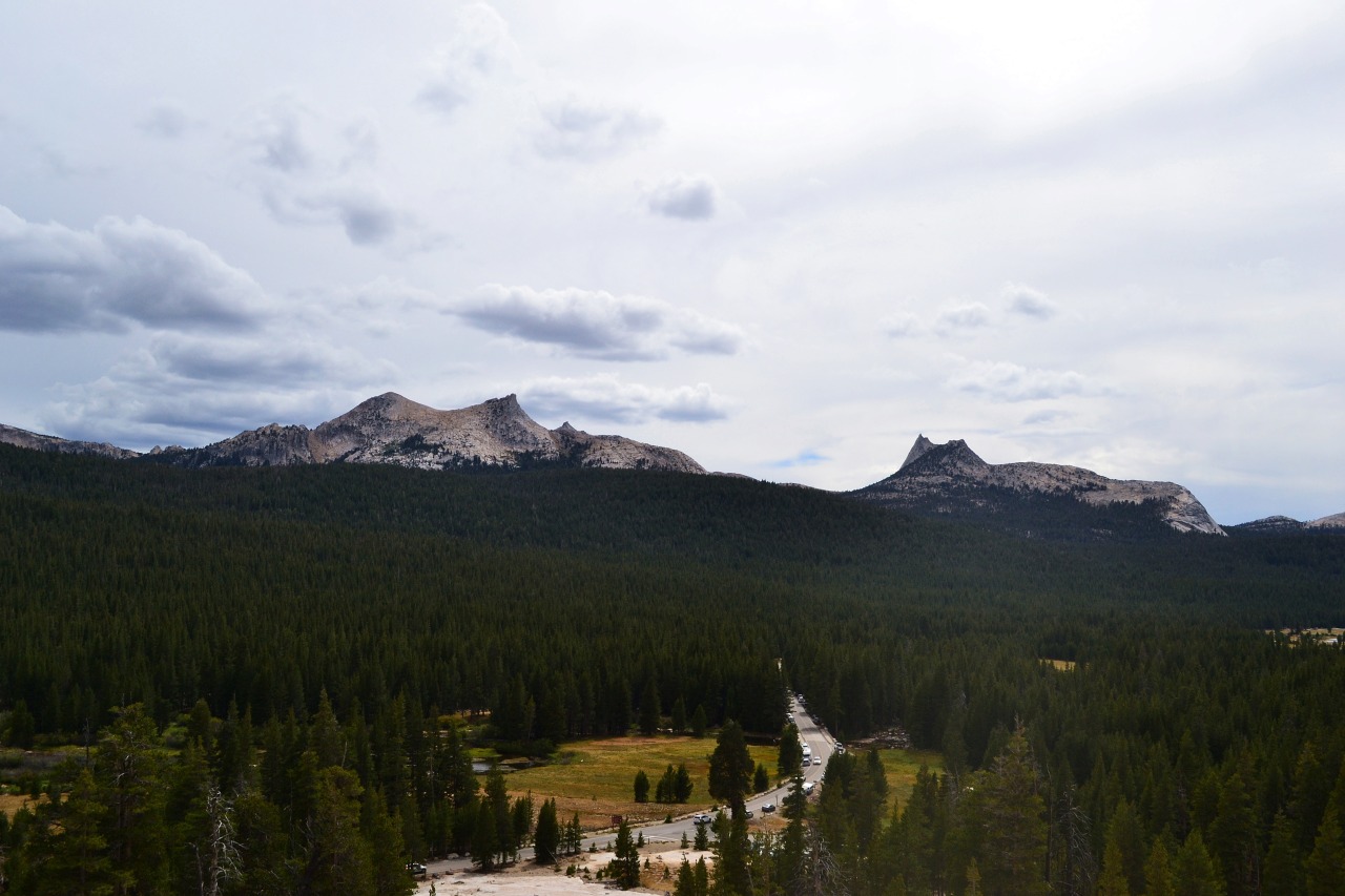 Archillect ID 381851