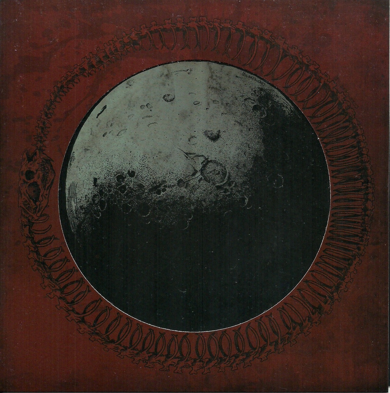 Archillect ID 381930