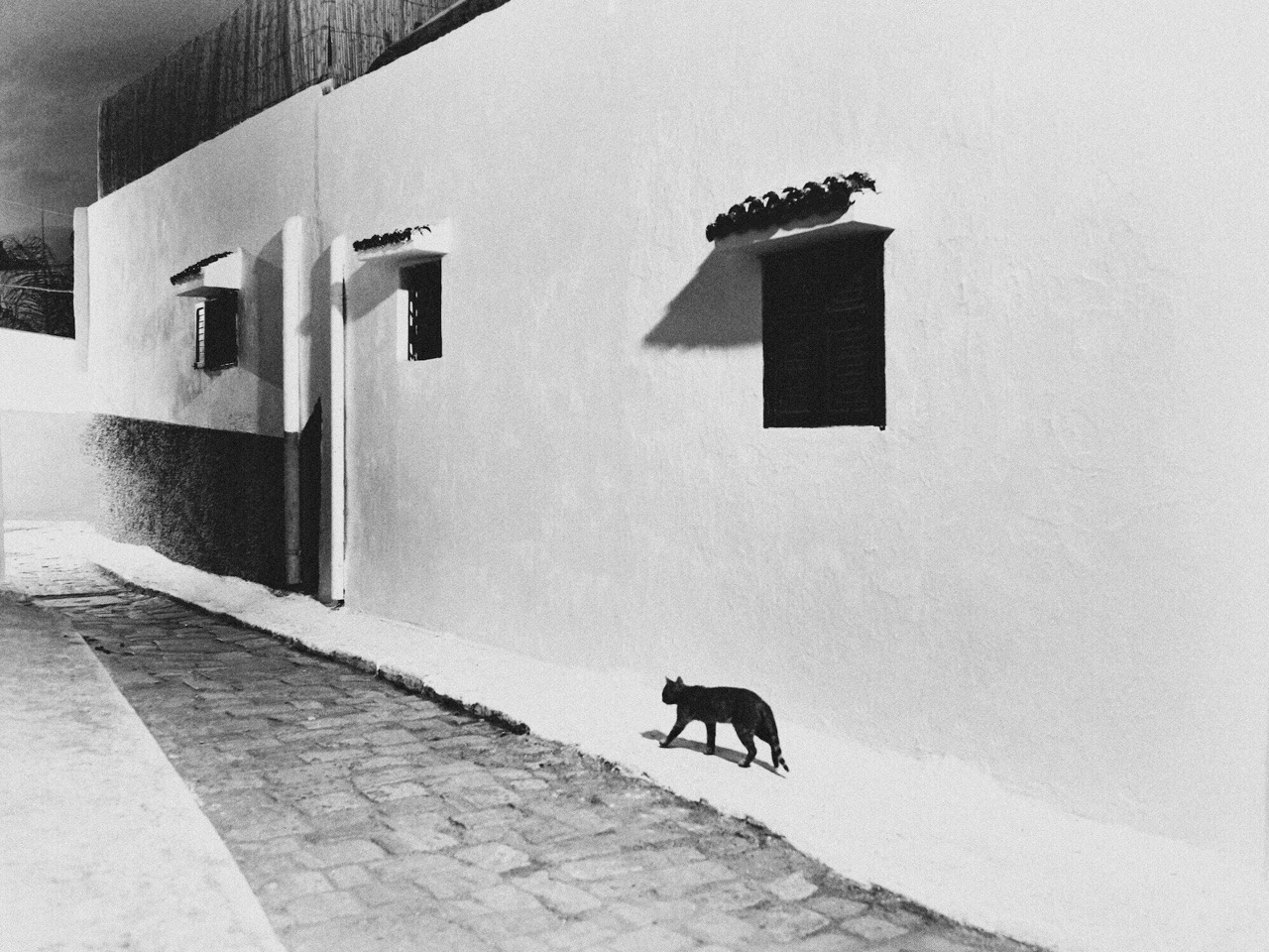 Archillect ID 381945