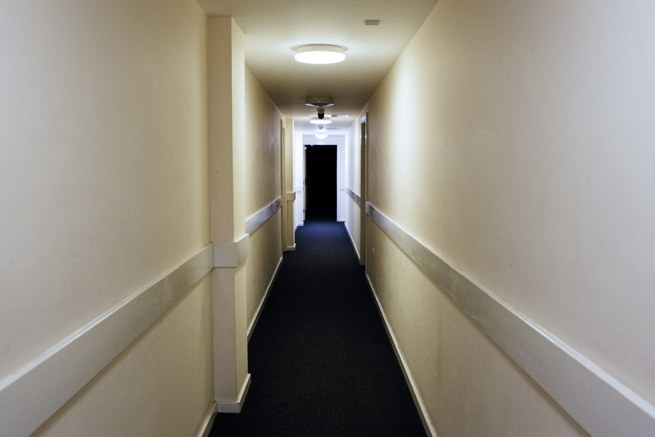 Archillect ID 381978