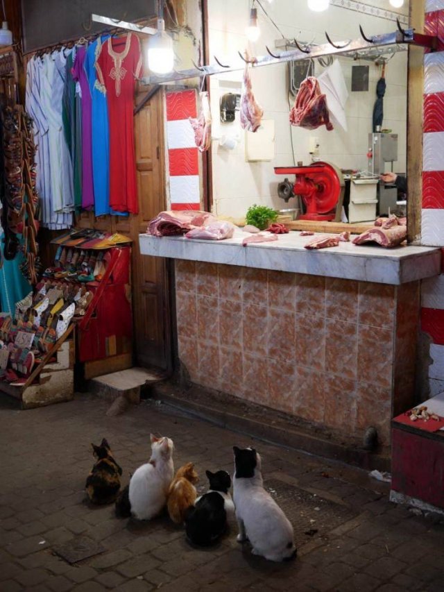 Archillect ID 382107