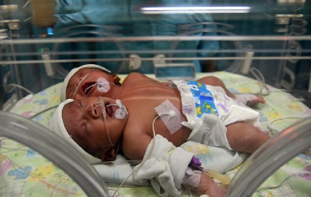 Archillect ID 382122