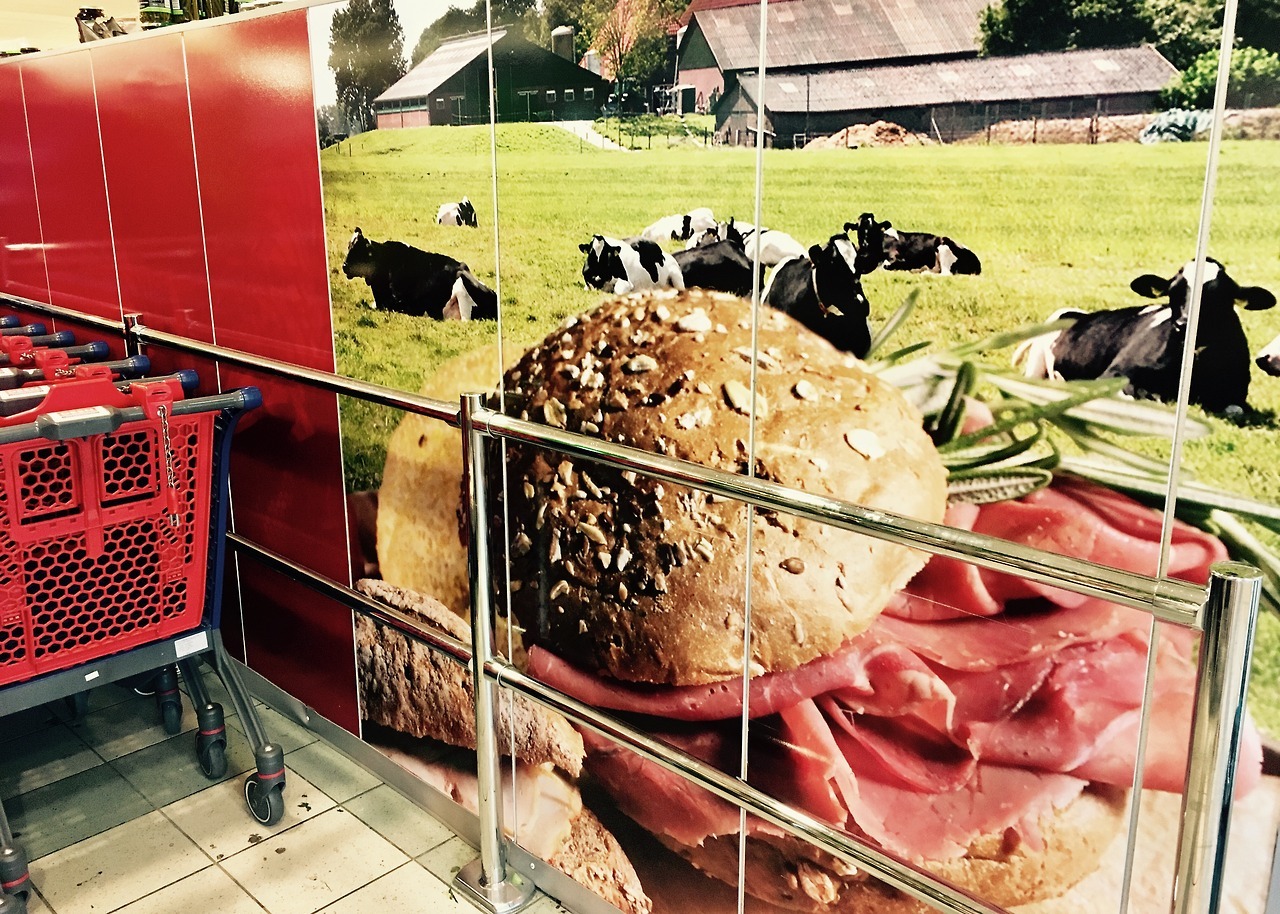 Archillect ID 382229