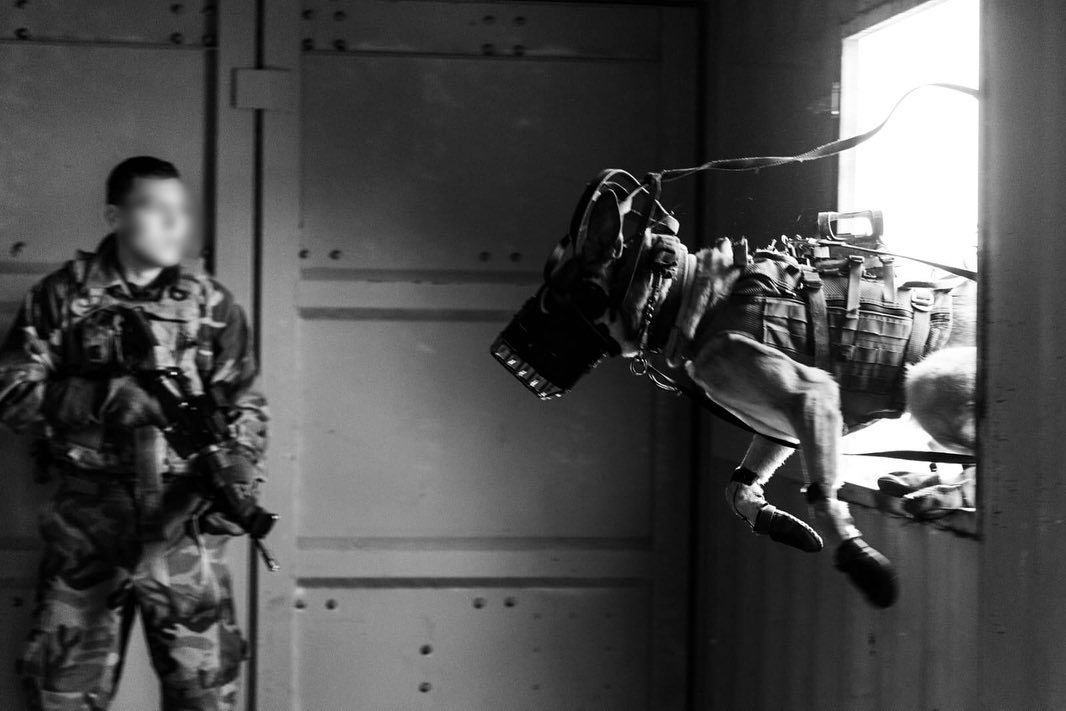 Archillect ID 382248