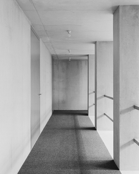 Archillect ID 382251