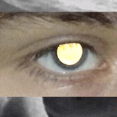 Archillect ID 382305